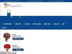 Sites similar to beyzacicek.com