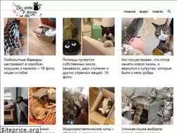 Sites similar to bezkota.ru