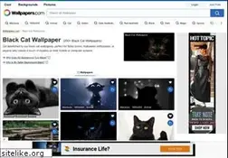 Sites similar to bfcc.org