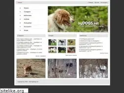 Sites similar to bgdogs.net