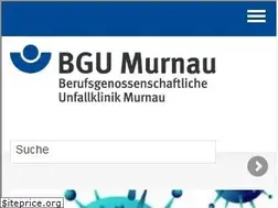 Sites similar to bgu-murnau.de