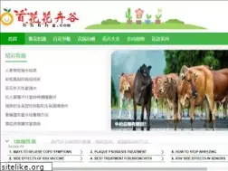 Sites similar to bhhhg.com