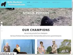Sites similar to bhnewfs.com
