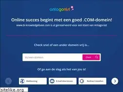 Sites similar to bi-knowledgebase.com