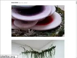 Sites similar to biancabondi.com