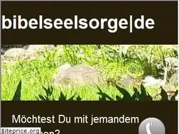 Sites similar to bibelseelsorge.de