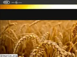 Sites similar to bibledejesuschrist.org