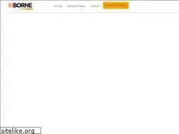 Sites similar to biborne.com