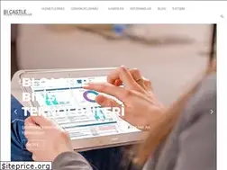 Sites similar to bicastle.com