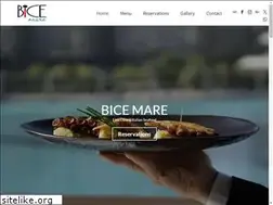 Sites similar to bicemare.com