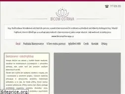 Sites similar to bicom-ostrava.cz