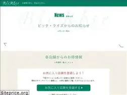 Sites similar to bicrise.com