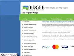 Sites similar to bidgeepumps.com.au