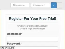 Sites similar to bidnapper.com