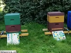 Sites similar to bienenschade.de
