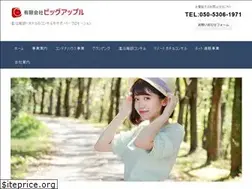 Sites similar to big-apple.info