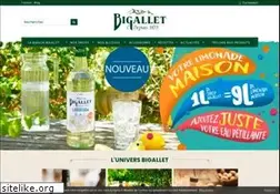 Sites similar to bigallet.fr