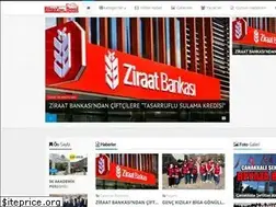 Sites similar to biganinsesi.com