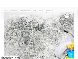 Sites similar to bigapplemold.com