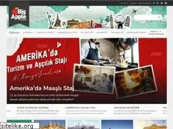 Sites similar to bigappleturkey.com
