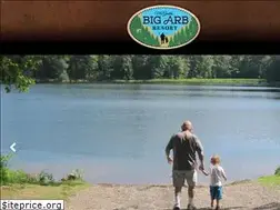 Sites similar to bigarb.com