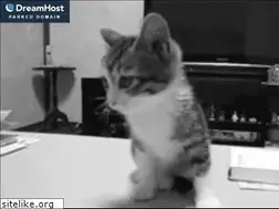 Sites similar to bigartshow.com