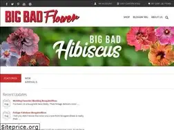 Sites similar to bigbadflower.com