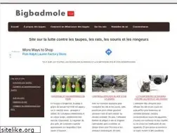 Sites similar to bigbadmole.com