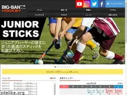 Sites similar to bigban-hockey.com