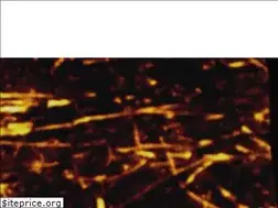 Sites similar to bigbangstudio.ch