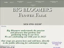 Sites similar to bigbloomersflowerfarm.com