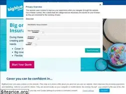 Sites similar to bigbluecover.com