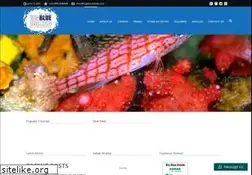Sites similar to bigbluedahab.com