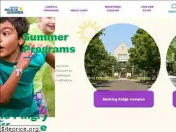 Sites similar to bigbluesummer.org