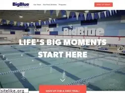 Sites similar to bigblueswimschool.com