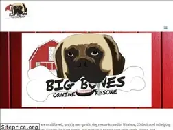 Sites similar to bigbonescaninerescue.com