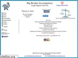 Sites similar to bigbrotherinvestigations.com