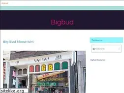 Sites similar to bigbud-maastricht.nl