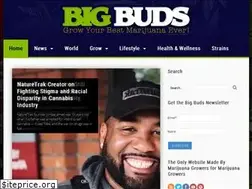 Sites similar to bigbudsmag.com