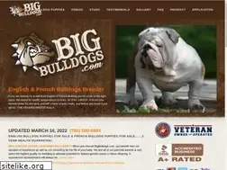 Sites similar to bigbulldogs.com