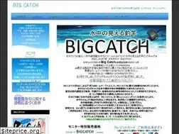 Sites similar to bigcatch.biz
