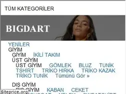Sites similar to bigdart.com.tr