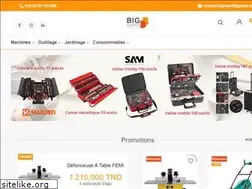 Sites similar to bigdepot.tn