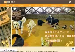 Sites similar to bigdogjapan.com