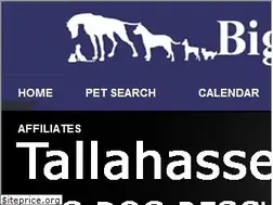 Sites similar to bigdogrescue.com
