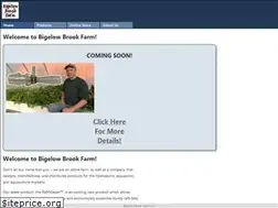 Sites similar to bigelowbrook.com