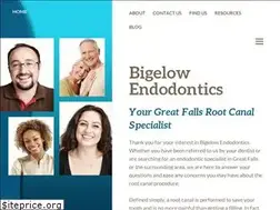 Sites similar to bigelowendo.com