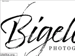 Sites similar to bigelowphotography.com