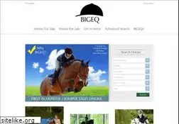 Sites similar to bigeq.com