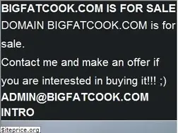 Sites similar to bigfatcook.com